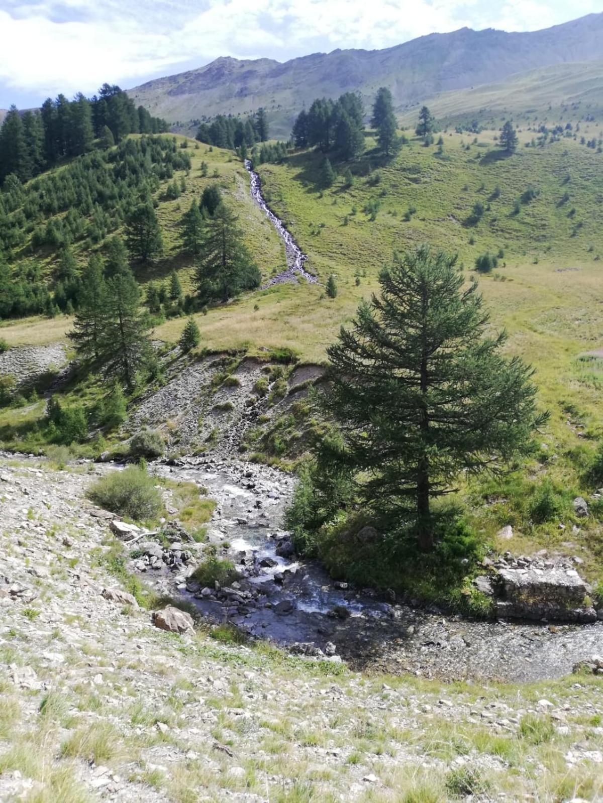App Vue Montagne Barcelonnette Proche Piscine Rando Riviere Nature المظهر الخارجي الصورة